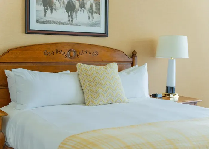 Hotel Little America &